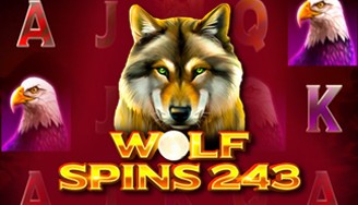 Wolf Spins 243